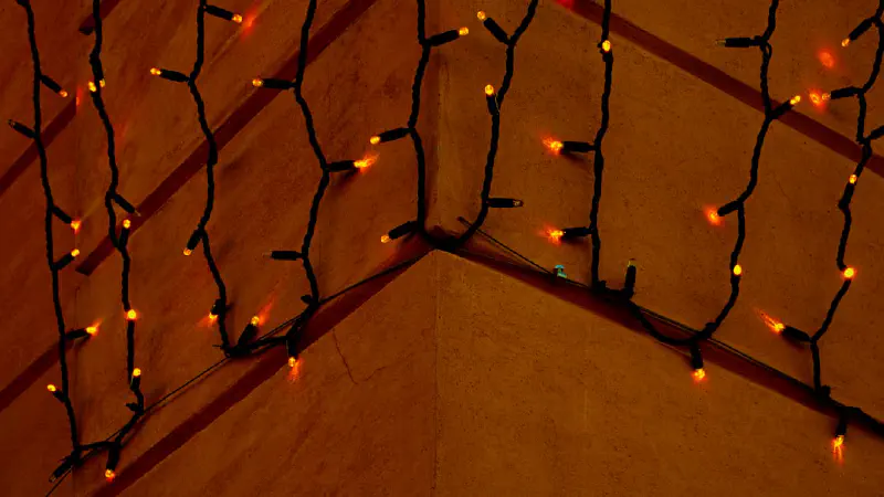 Dây lá cedar giả làm đường chạy bàn