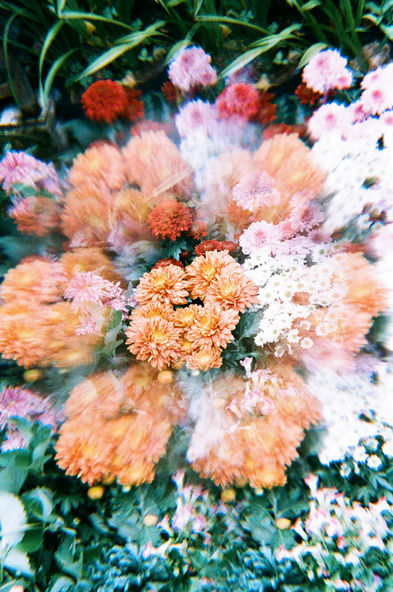 Hướng Dẫn Từng Bước Làm Đẹp Hoa Giả Của Bạn: Từ Hộp Đến Hoàn Hảo