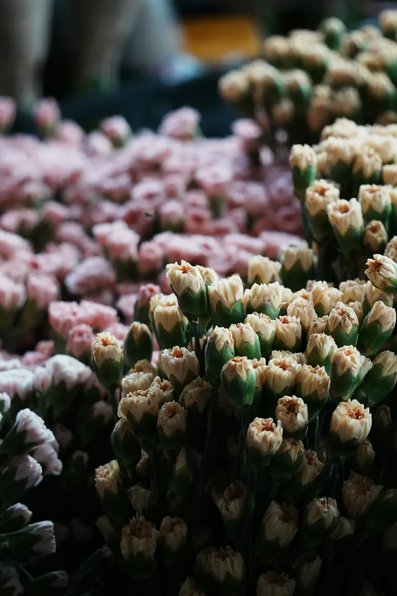 Mở hộp hoa giả cẩn thận