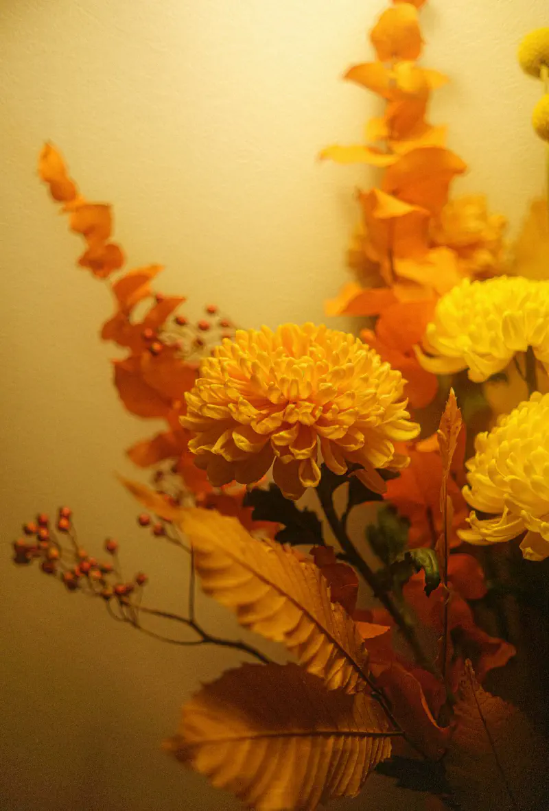 Cẩm tú cầu nhân tạo sang trọng