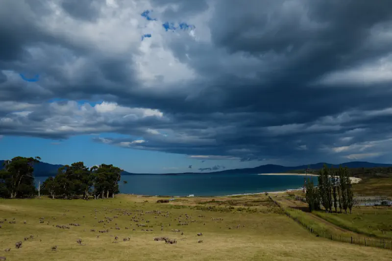 Người vui vẻ ăn kiwi