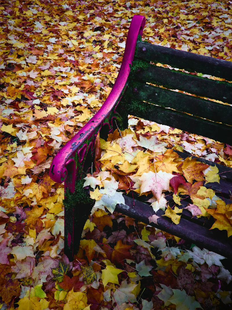 Vòng hoa mộc lan trang trí mùa đông