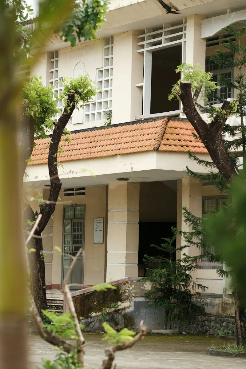 Phong cách trang trí tối giản với cành cây