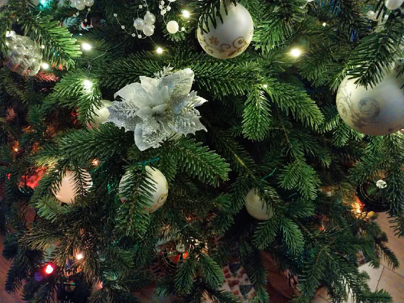 Vòng hoa Giáng sinh trên gương