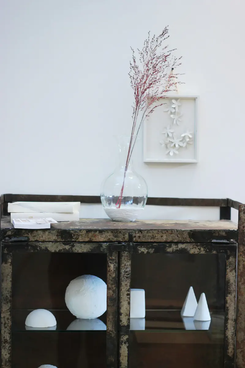 Tâm Sự Hoa Lá Cành: Cùng Carley Summers Biến Nhà Thành Vườn Thượng Uyển Cười Nắc Nẻ!