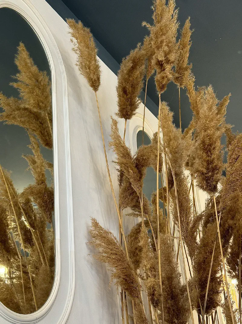 Vẻ Đẹp Vĩnh Cửu: Lý Do Hoa Khô Là Lựa Chọn Hoàn Hảo Cho Thiết Kế Nội Thất