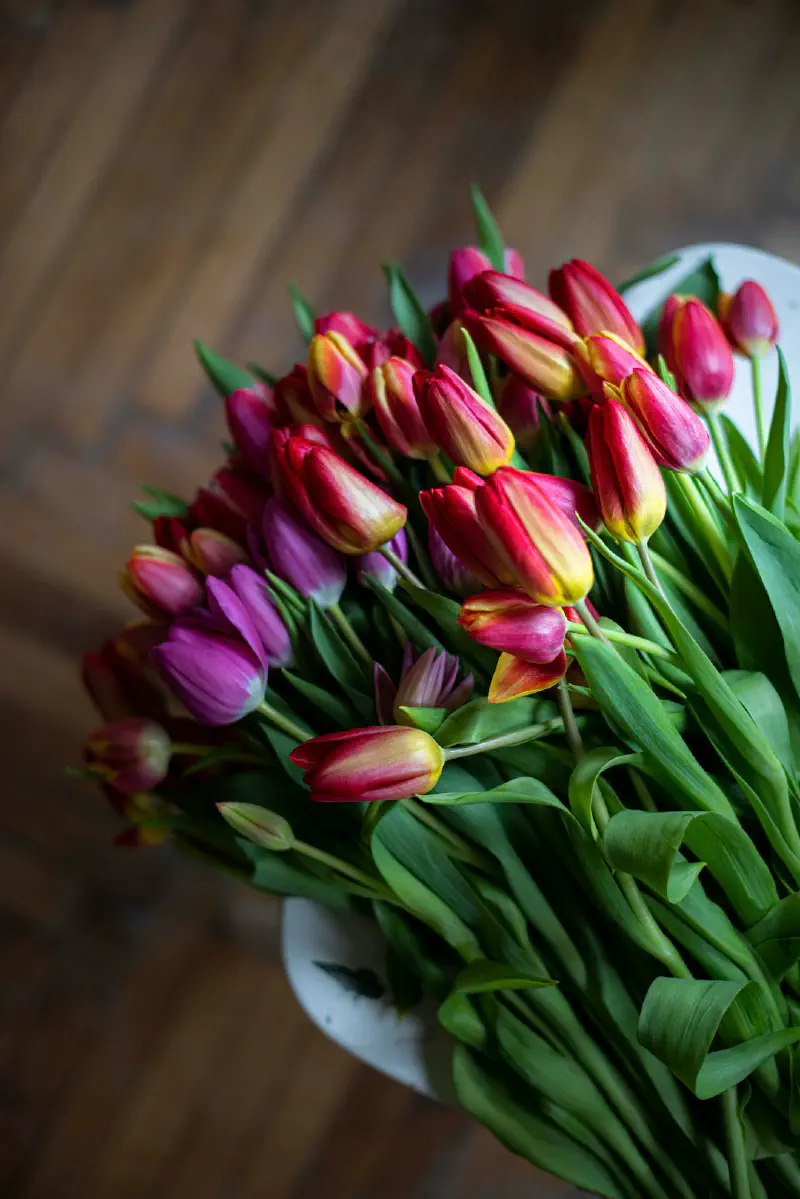 Sắc hoa và cây xanh tô điểm không gian